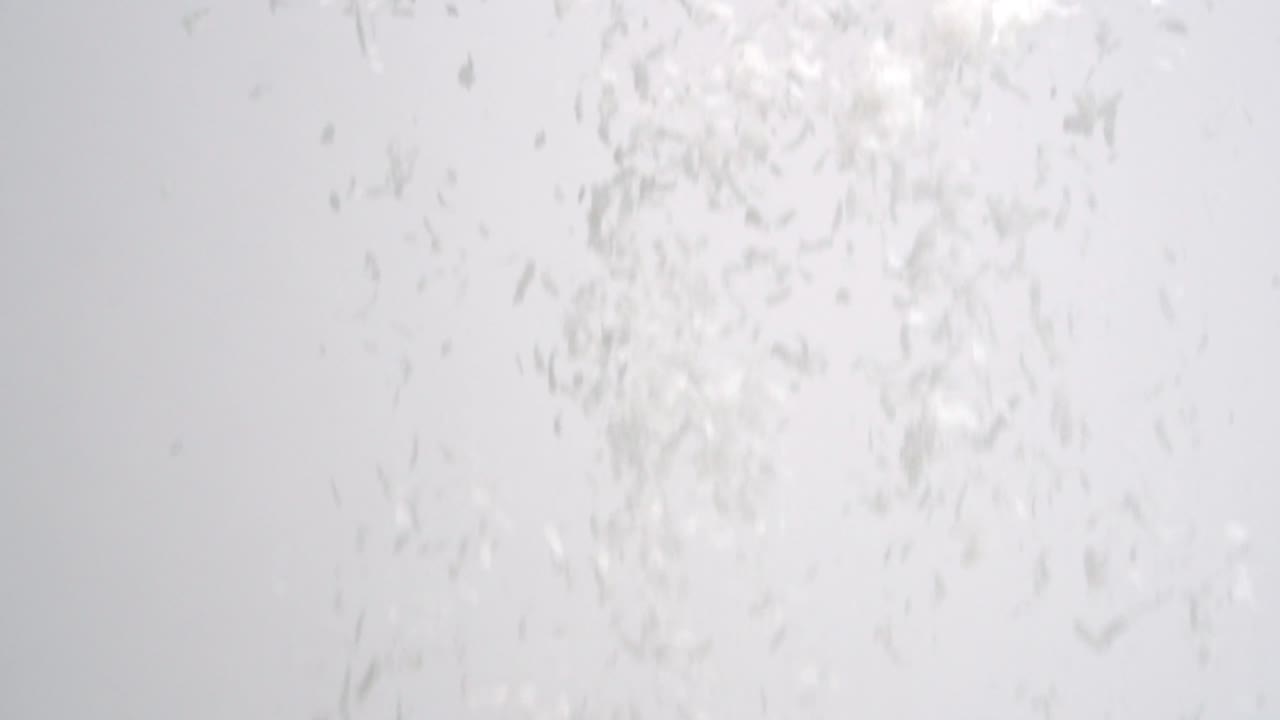 flocos de coco brancos nevando no pano de fundo branco em câmera lenta