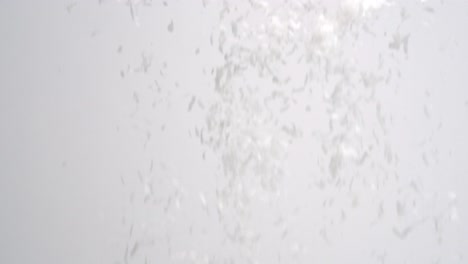 White-coconut-flakes-snowing-down-on-white-backdrop-in-slow-motion