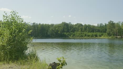 serene lakeside scenery