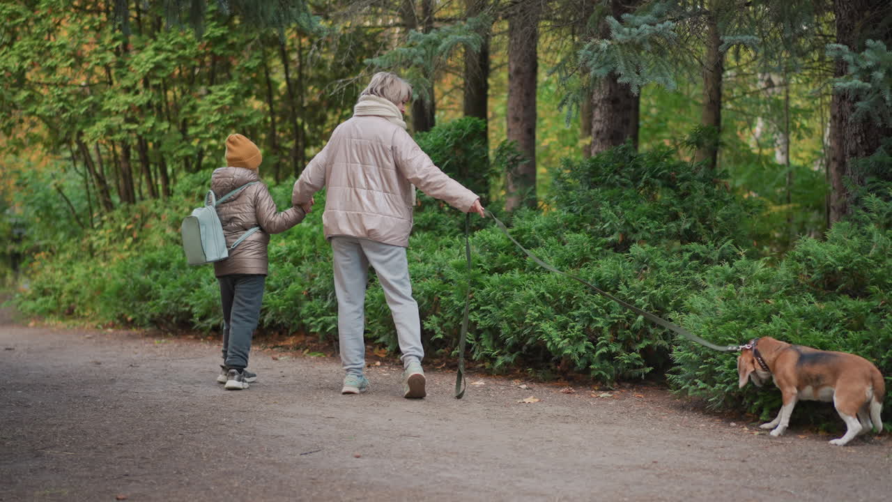 dog on leash refusing to follow owner on leafy forest path, child and mom walking ahead, pet stops to sniff ground while owner gently tugs leash, autumn trees and green undergrowth