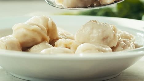 boiled dumplings in a bowl
