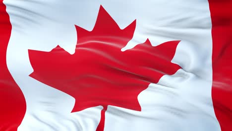 canada flag waving in the wind with highly detailed fabric texture. seamless loop