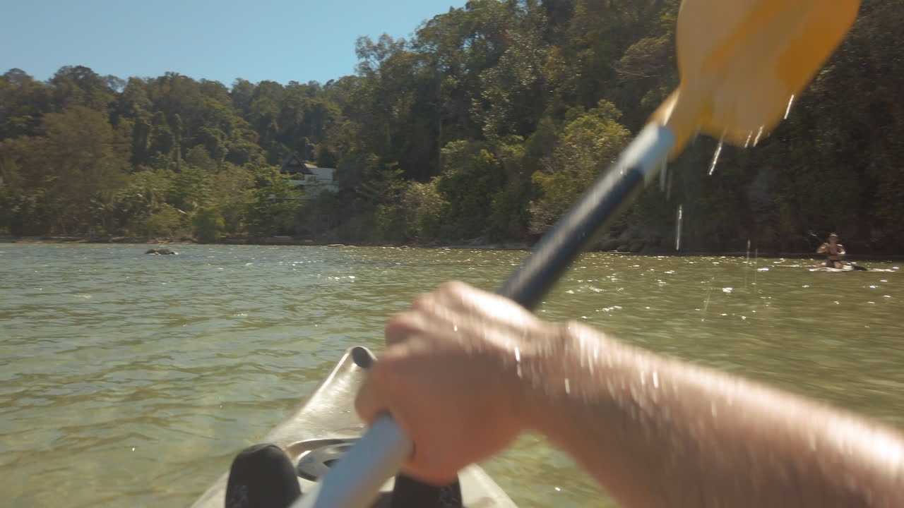 kayak y surf de remo a lo largo de la costa de borneo junto a las selvas tropicales y las playas.