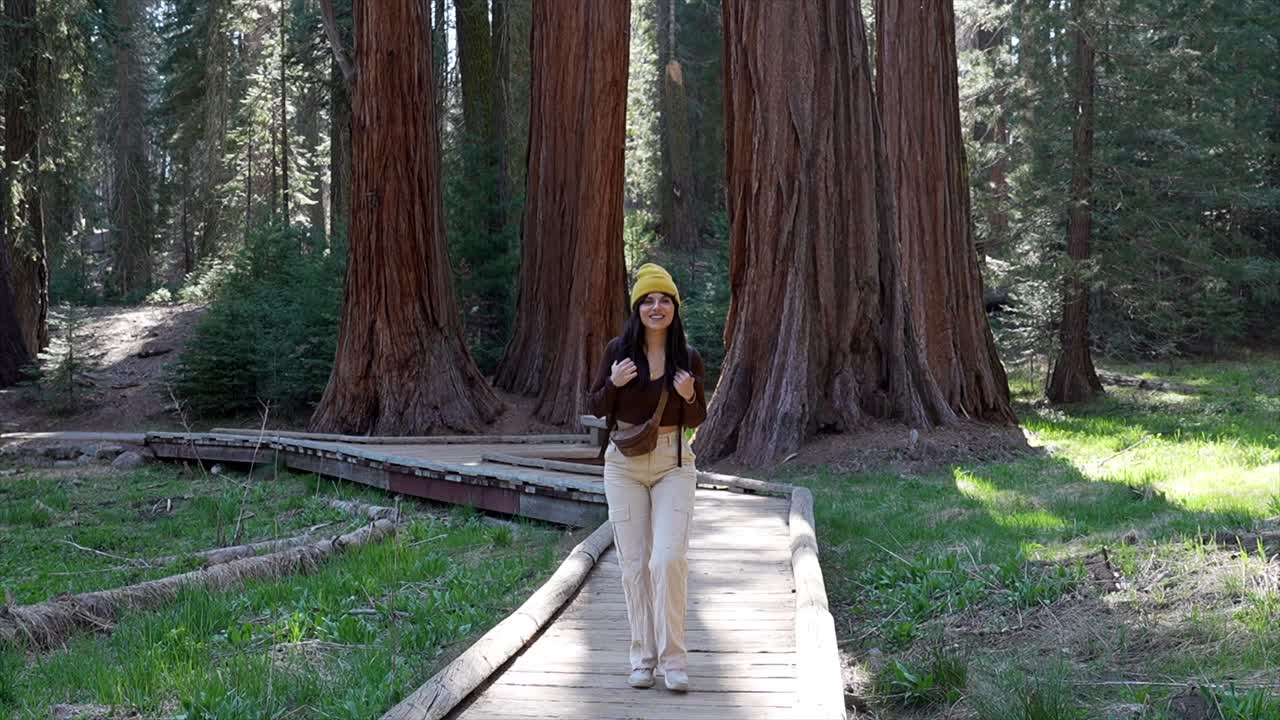 Giovane donna che cammina su una passerella in una foresta di sequoie giganti