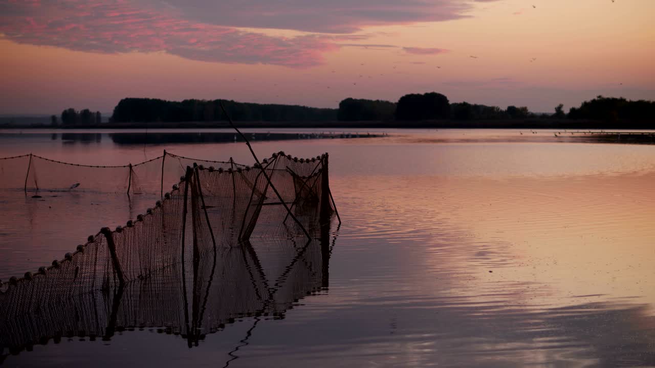 호수 에 있는 시망