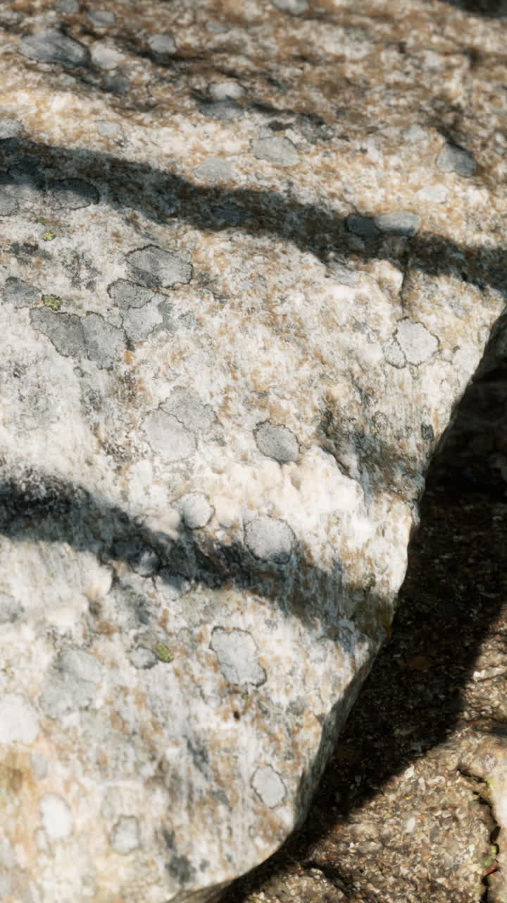 Close-up of a Lichen-Covered Rock