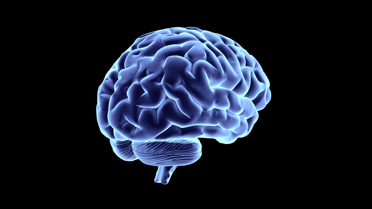 A 360-degree close-up view of the Human Brain against a black background - Blue.