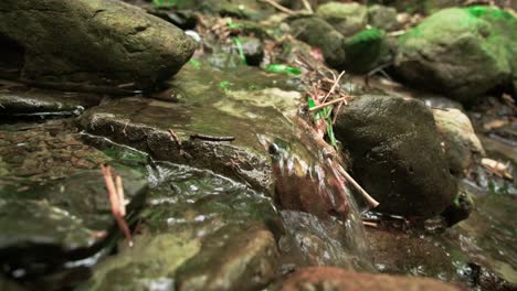 Neuseeland-Kleiner-Bach-Wasserfall