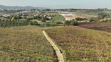 Farmer-riding-throught-vineyard-on-dirt-bike-overlloking-plantation