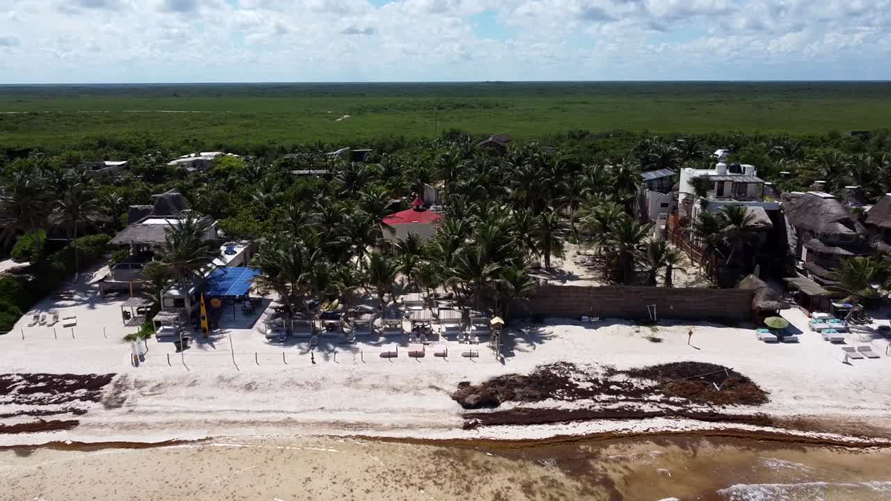 zona hotelera en tulum tropical méxico arruinada por sargazo marrón en un día soleado, acercamiento aéreo