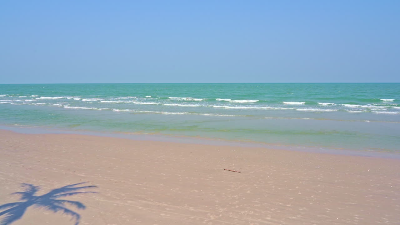 A silhouette of a coconut palm tree on a tropical white beach with crystal blue water