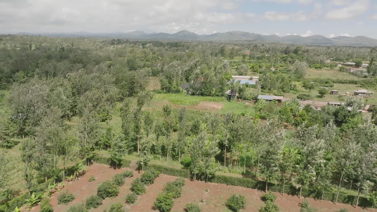 케냐의 메루에 있는 나무와 작물이 있는 농지 위의 드론