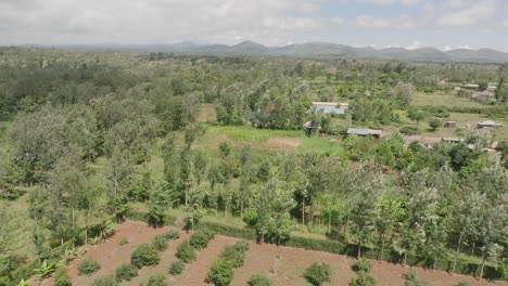 Drone-over-farm-lands-with-trees-and-crops-in-Meru,-Kenya