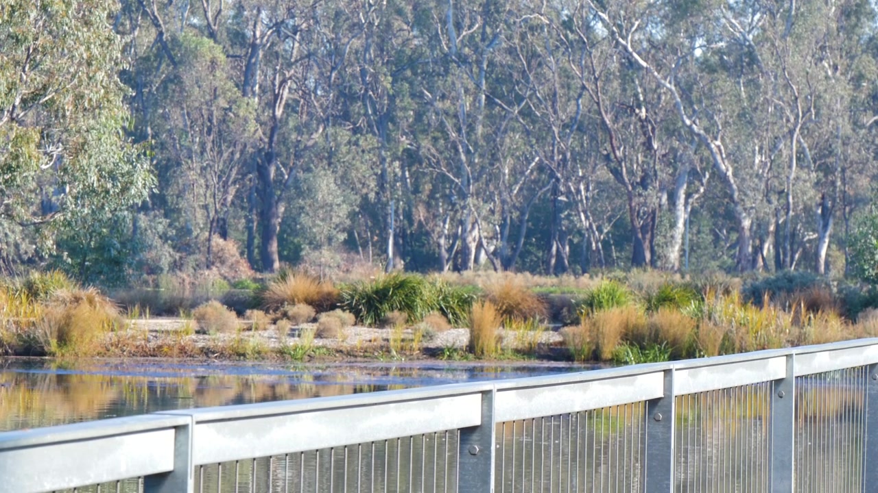 Fence by the water and forest