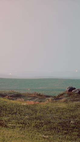 serene landscape: grassland with rock and distant mountains