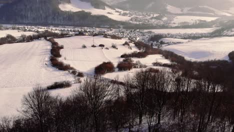 Luftaufnahme-über-Winterwald-Schneebedeckte-Landschaft-Am-Frühen-Morgen,-Berge-Im-Hintergrund