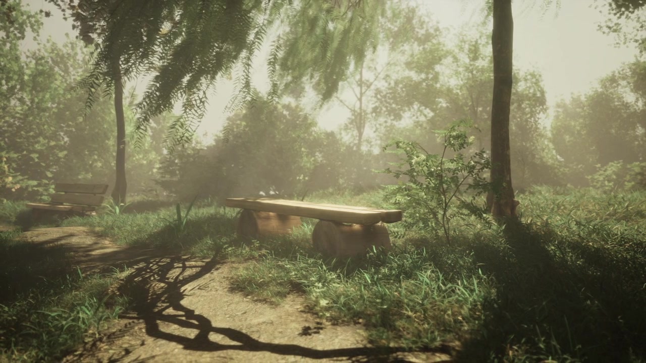 Quiet moments in a sunlit garden on a warm afternoon