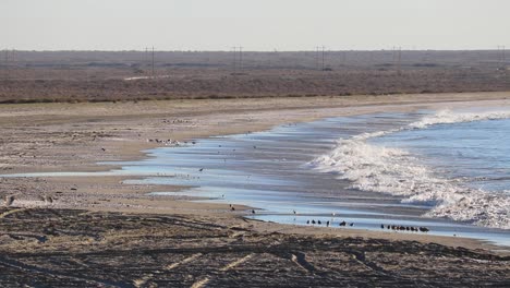 Wellen-Krachen-Am-Strand-Von-Bahia-Asuncion