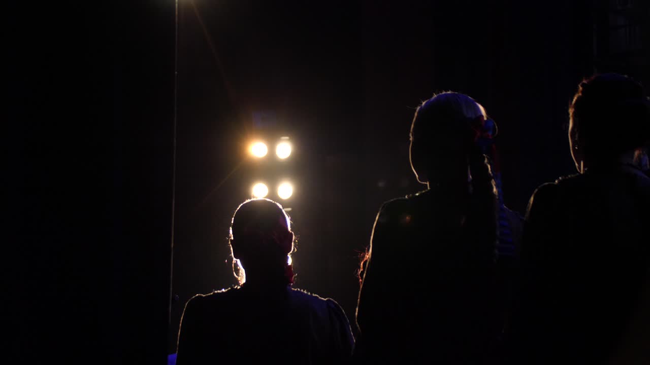 Concert Performance Silhouette