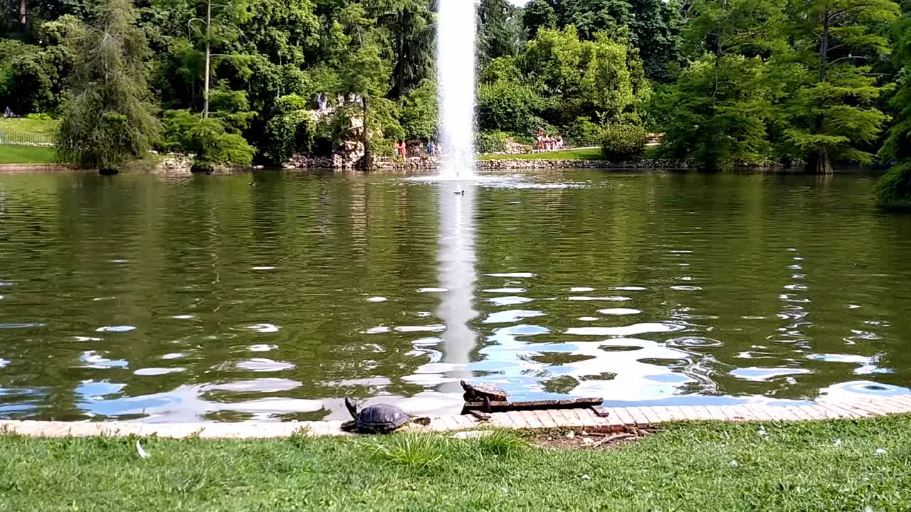 foto fija de una fuente en un estanque en el parque del retiro, madrid