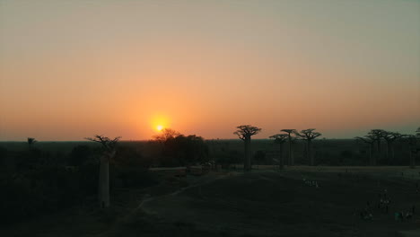 Vista-Aérea-De-Drones-De-La-Puesta-De-Sol-En-La-Avenida-De-Baobab-En-Madagascar