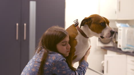 girl holding a dog for the vet