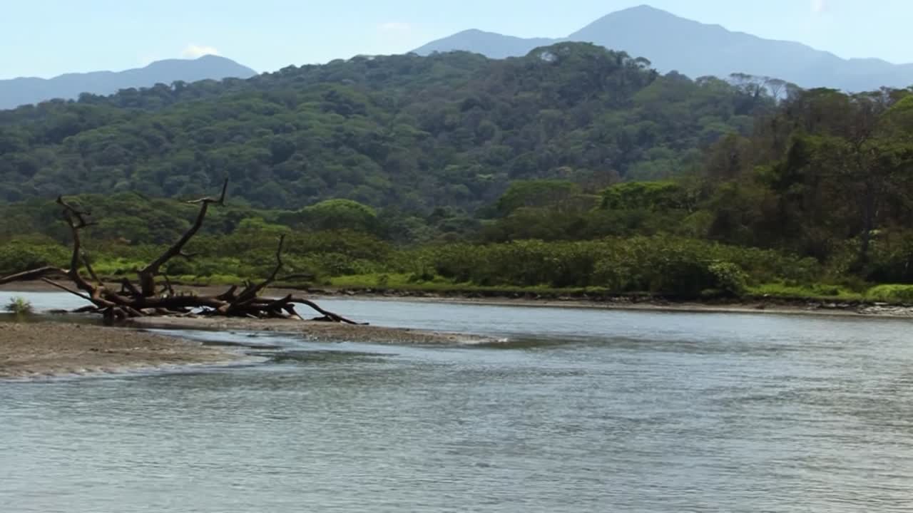 río tarcoles y la selva tropical circundante y las montañas en costa rica