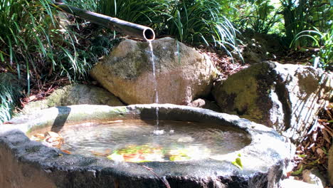 japanese water feature, brisbane gardens