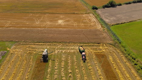 aerial shot of harvester tractor driving along row of hay crop in scenic farm field