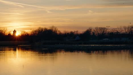 Un-Lago-Dorado-Con-Pájaros-Volando-Puesta-De-Sol-En-Cámara-Lenta