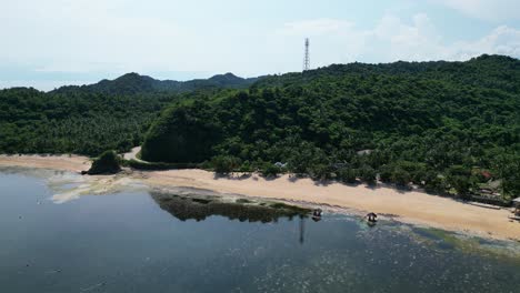 Tranquil-Beach-With-Lush-Vegetation-In-Virac,-Catanduanes,-Philippines---aerial-drone-shot