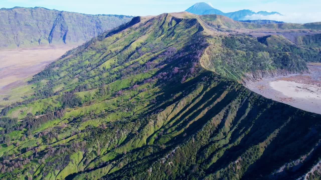 Mount Bromo's lush slopes under clear skies in East Java, Indonesia