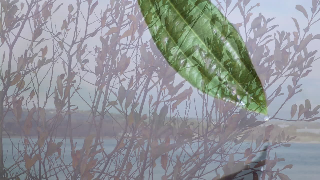 Nature-inspired composition with green leaf overlaying branches and water in animation