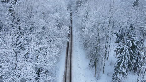 Hermoso-Vuelo-De-Drones-Sobre-Un-Pintoresco-Camino-Forestal-En-Un-Frío-Paisaje-Invernal-Nevado