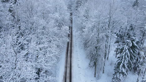 hermoso vuelo de drones sobre un pintoresco camino forestal en un frío paisaje invernal nevado