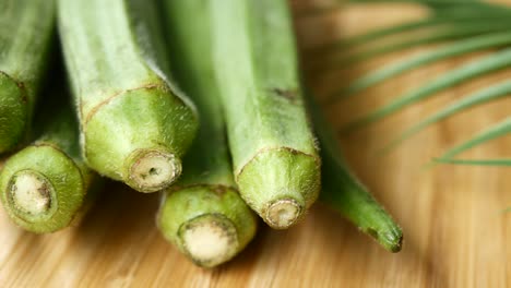 closeup of okra stems