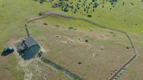 Rancho-Cercado-En-La-Ladera-De-Una-Montaña-Remota,-Cadáveres-De-Vacas-Muertas-En-Tierras-De-Cultivo,-Vista-Aérea