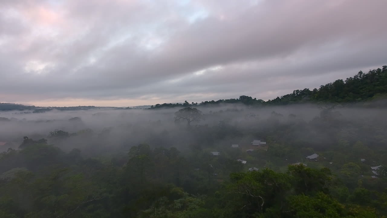 saül temprano en la mañana vista aérea, nebulosa y mística. parque amazónico de la guayana francesa