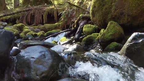 Camera-pull-out-of-moss-covered-rocks-in-a-mountain-stream-on-a-warm-spring-day