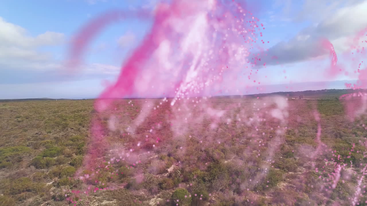 Pink powder cloud drifting across scrubland horizon, showing swirling particles in flat design