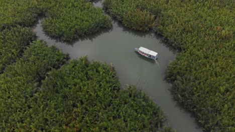 Boat-in-the-middle-of-coconut-forest-at-Cam-Thanh-village-Vietnam,-aerial