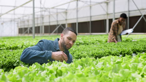 farmer, inspector or greenhouse plants as