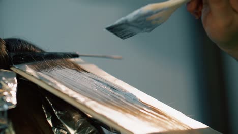 brush used to spread paste on hair to apply dye for color change in exclusive salon