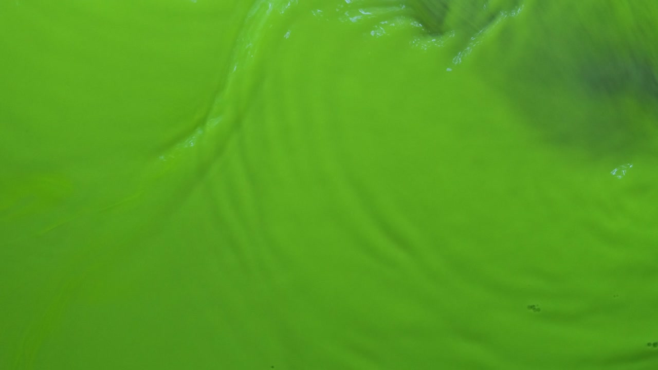 Abstract waves of green neon paint on a blue background. View from above.