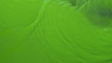 ondas abstractas de pintura de neón verde sobre un fondo azul. vista desde arriba.
