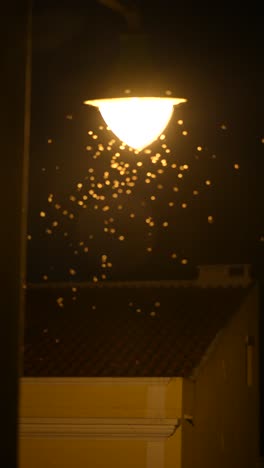 insects swarming under a street light at night