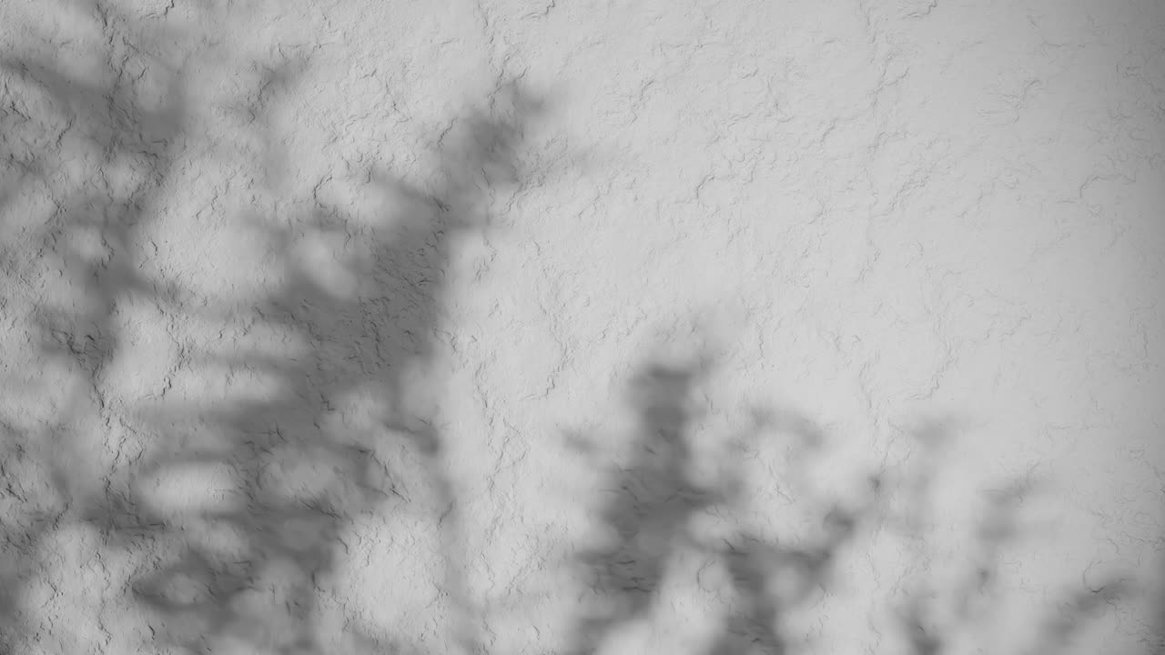 Shadow of plant branches on textured white plaster wall. Minimal nature-inspired background with soft natural light and rough stucco surface. Design for wallpaper, banner, vertical