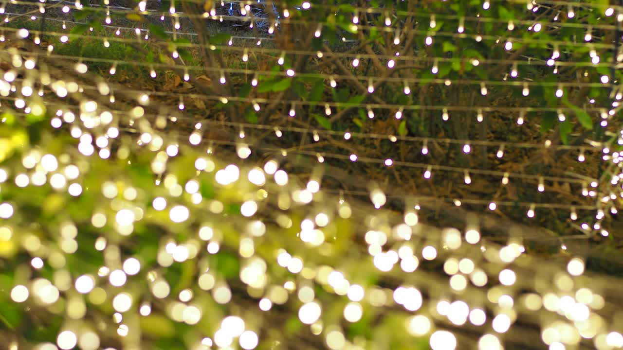 blur focus of light on black background from lamp in night on christmas before new year 2018 so beautiful romantic holiday