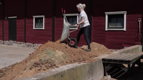 a caucasian lady emptying a wheelbarrow filled with soiled bedding and droppings after cleaning her horses stable, sweden