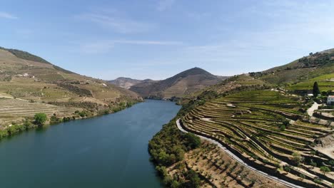 Campos-De-Uva-En-El-Valle-Del-Duero,-Portugal.